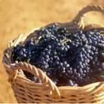 Grapes in Basket